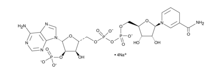 NAPH（氧化型輔酶II）