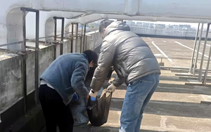 西寶“凈”界煥新 全員C位共筑辦公新生態 西寶“凈”界煥新 全員C位共筑辦公新生態