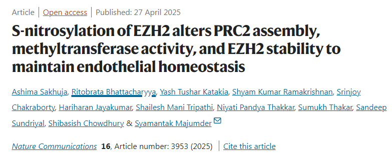 EZH2的S-亞硝基化通過改變PRC2復合物的組裝、甲基轉移酶活性及EZH2的穩定性來維持內皮穩態