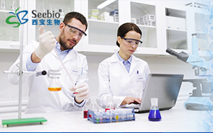 表面活性劑家族，種類齊全 常備現貨