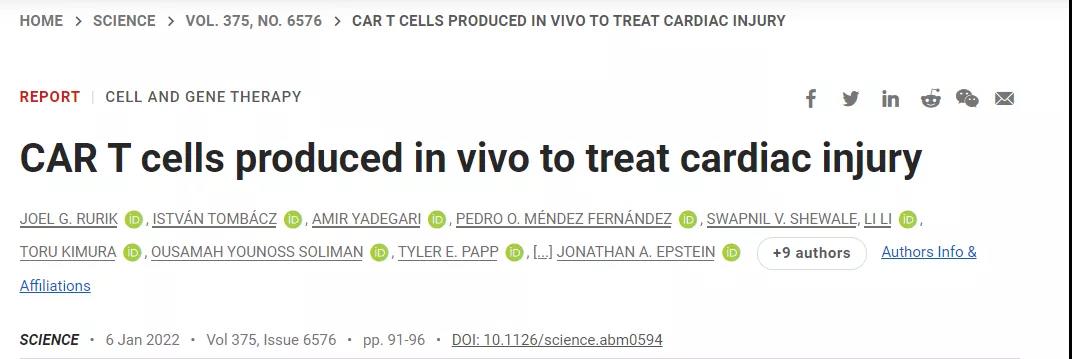 CAR-T技術再升級！無需體外編程T細胞，一針注射修復受損心臟，省錢又省心！