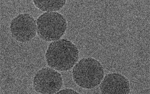 Nature子刊：新型納米粒子提供創新的癌癥化療免疫療法