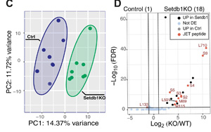 Science Immunology兩篇重要論文:解決癌癥免疫領(lǐng)域長期面臨的挑戰(zhàn) Science Immunology兩篇重要論文:解決癌癥免疫領(lǐng)域長期面臨的挑戰(zhàn)