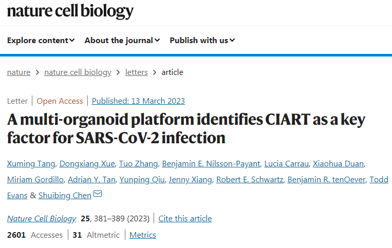 CIART基因的活性是引發(fā)COVID-19病毒感染的關(guān)鍵因素 CIART基因的活性是引發(fā)COVID-19病毒感染的關(guān)鍵因素
