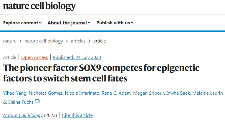 研究發(fā)現(xiàn)SOX9控制著遺傳信息從DNA到mRNA的傳遞 研究發(fā)現(xiàn)SOX9控制著遺傳信息從DNA到mRNA的傳遞