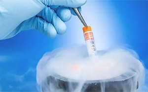 DMSO|細胞實驗中的通用凍存保護劑 DMSO|細胞實驗中的通用凍存保護劑