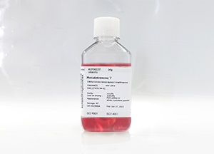 α-MEM培養基(含Nucleosides)